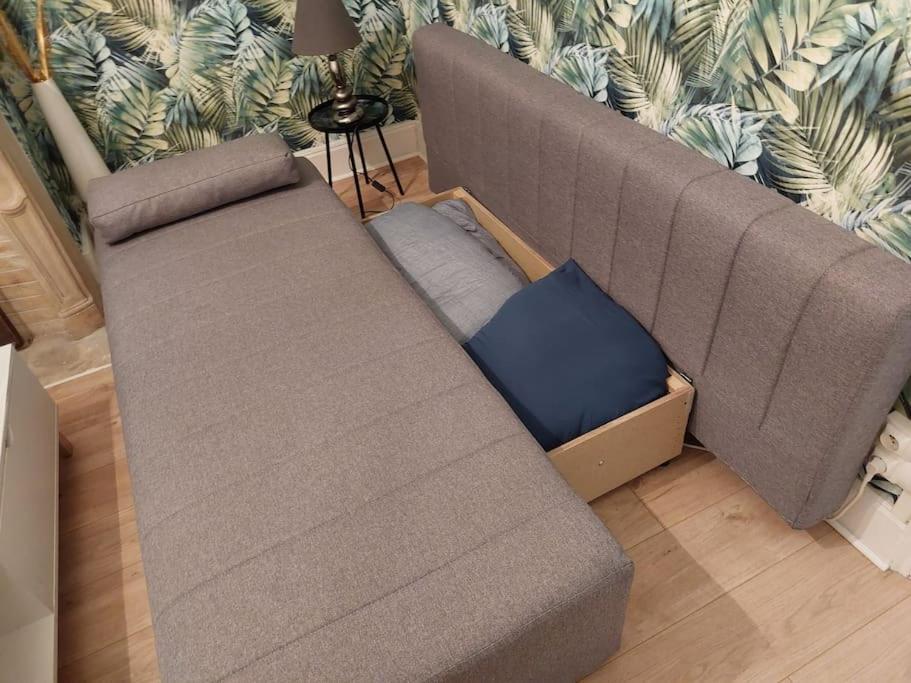 Appartement Cocon Surprise Vous Attend A Dunkerque *